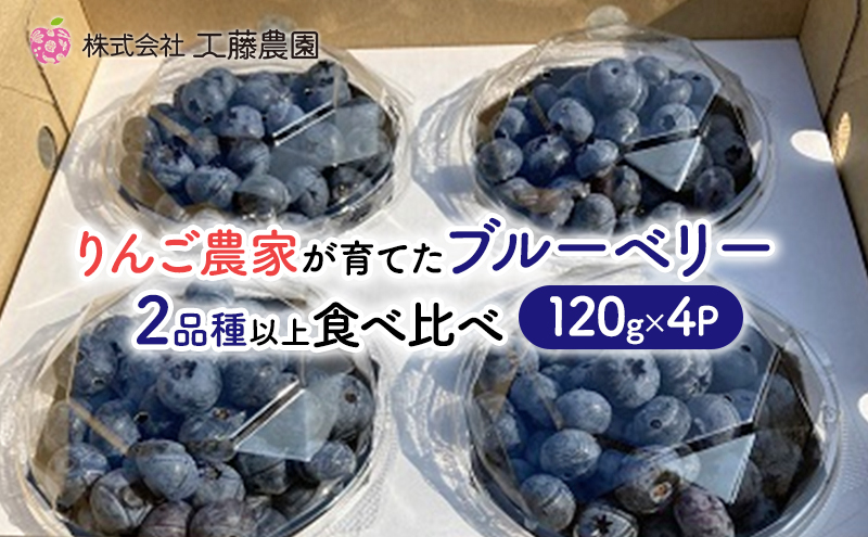 青森県弘前市産 りんご農家が育てたブルーベリー 120g×4P 2品種以上 食べ比べ 工藤農園 