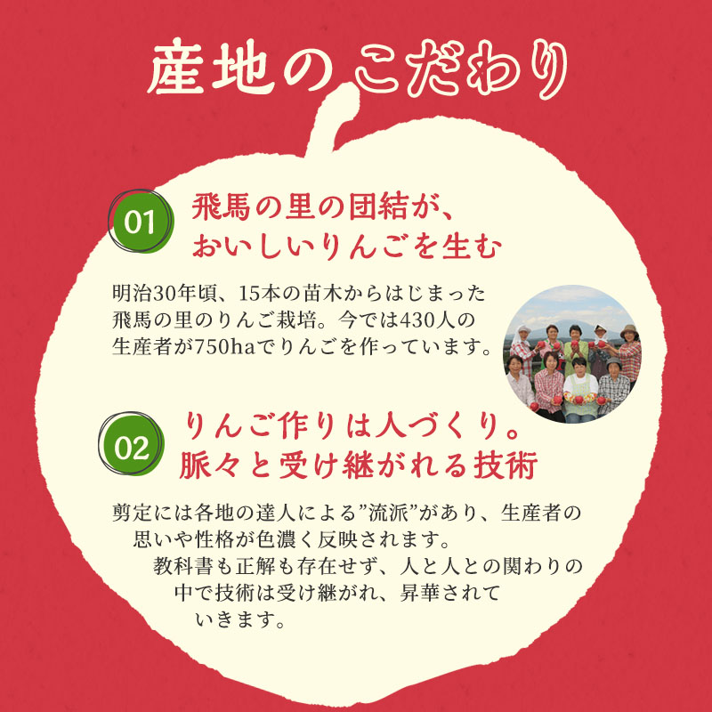 定期便 JA相馬村のりんご 無添加 りんごジュース 詰め合わせ 1L × 6本 セット 2ヶ月毎に計3回お届け りんご リンゴ ジュース リンゴジュース 飲み比べ ふじ シナノゴールド 王林 弘前市産 青森