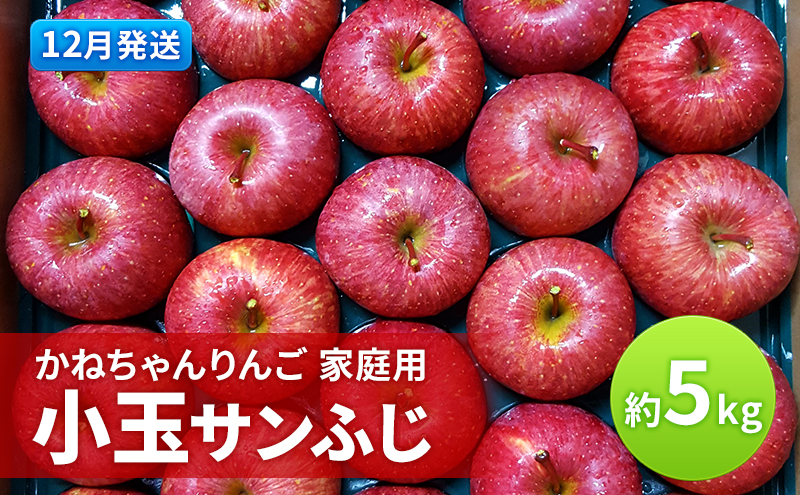 【12月発送】かねちゃんりんご 家庭用 小玉 サンふじ約5kg 食べきりサイズ 【弘前市産・青森りんご】