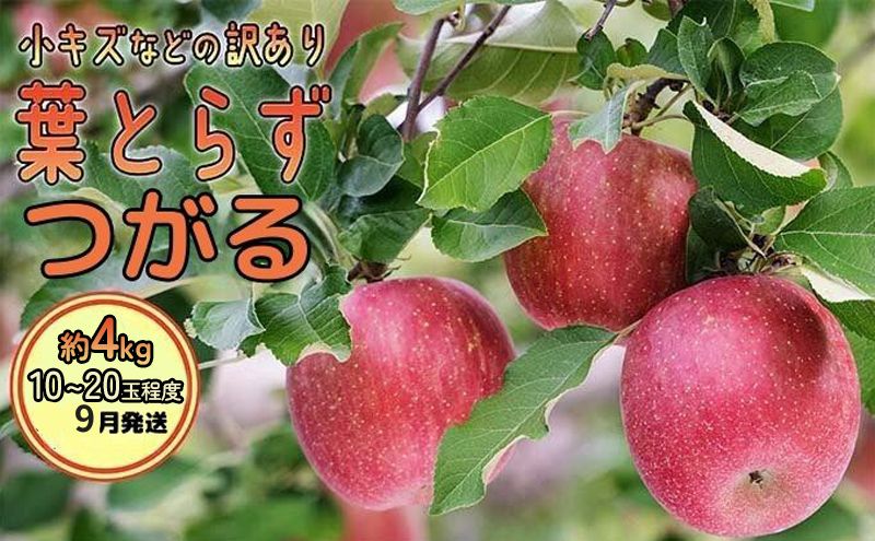 9月発送 訳あり 葉とらず つがる 約4kg【弘前市産 青森りんご】