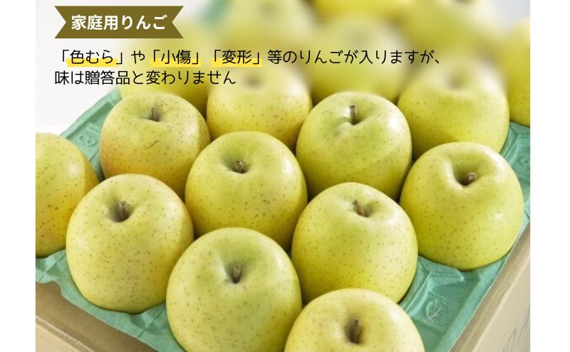 9～10月発送 家庭用 トキ 約3kg 【弘前市産 青森りんご】