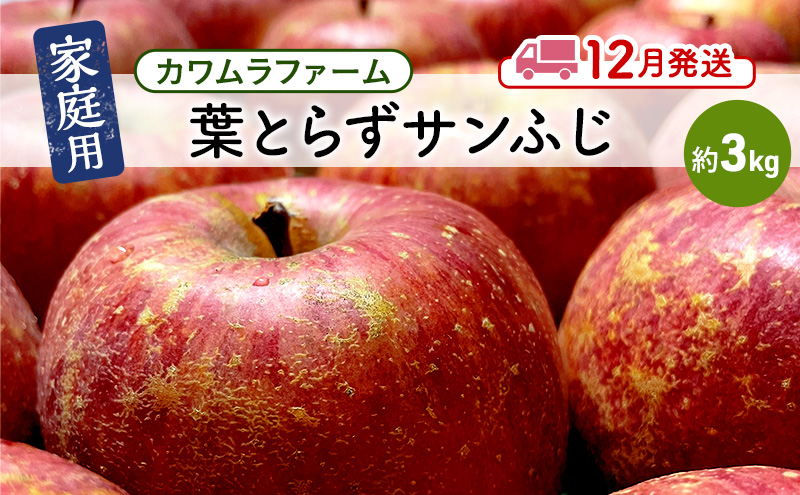 りんご 【12月発送】カワムラファーム 家庭用 葉とらず サンふじ 約3kg 【弘前市産 青森りんご】 青森 弘前