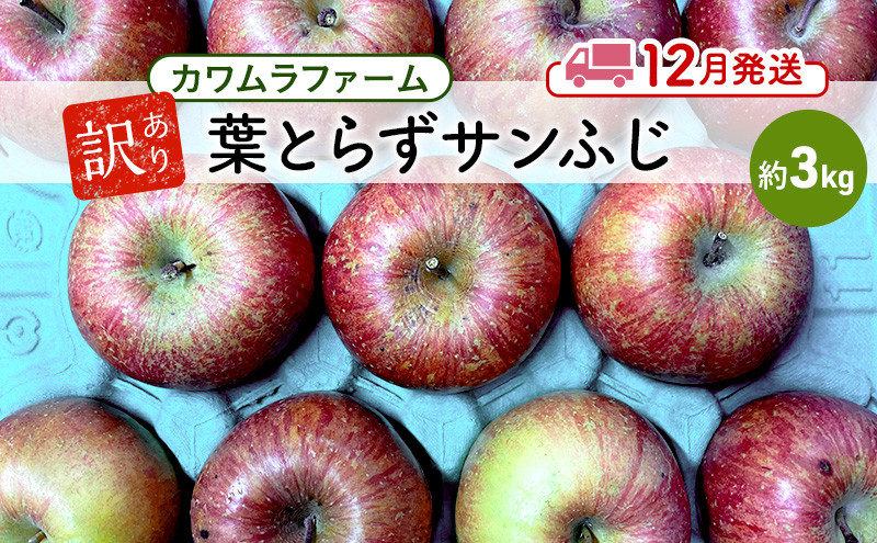 りんご 【12月発送】カワムラファーム 訳あり 葉とらず サンふじ 約3kg 【弘前市産 青森りんご】 青森 弘前