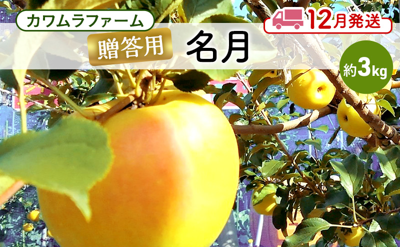 りんご 【12月発送】カワムラファーム 贈答用 名月 約3kg 【弘前市産 青森りんご】 青森 弘前