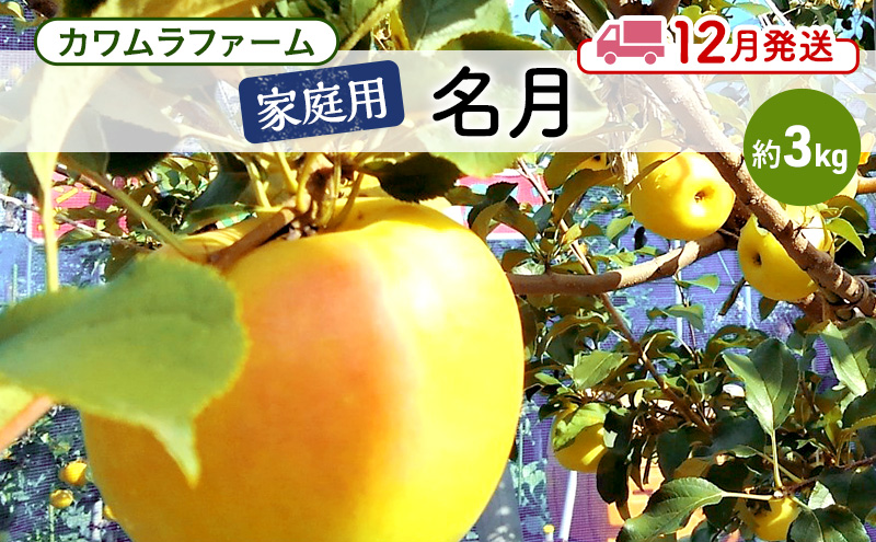 りんご 【12月発送】カワムラファーム 家庭用 名月 約3kg 【弘前市産 青森りんご】 青森 弘前