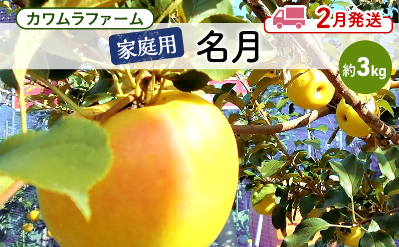 りんご 【2月発送】カワムラファーム 家庭用 名月 約3kg 【弘前市産 青森りんご】 青森 弘前