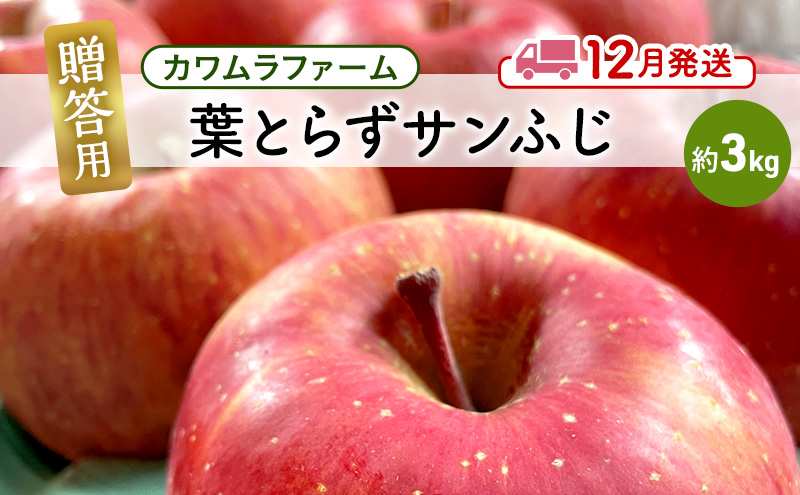 りんご 【12月発送】カワムラファーム 贈答用 葉とらず サンふじ 約3kg 【弘前市産 青森りんご】 青森 弘前