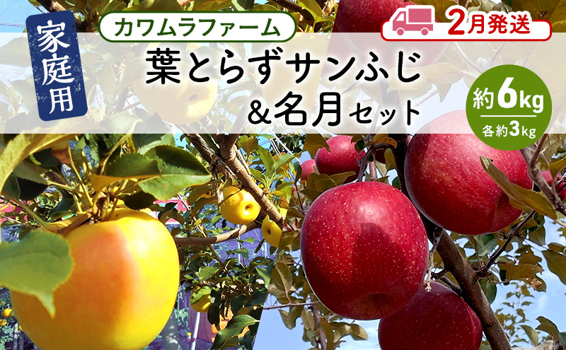 りんご 【2月発送】カワムラファーム 家庭用 葉とらず サンふじ & 名月 セット 約6kg 【弘前市産 青森りんご】 青森 弘前