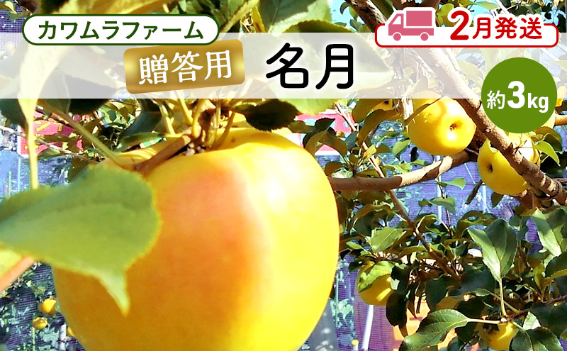 りんご 【2月発送】カワムラファーム 贈答用 名月 約3kg 【弘前市産 青森りんご】 青森 弘前