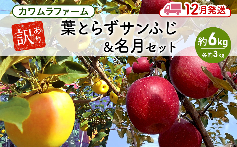 りんご 【12月発送】カワムラファーム 訳あり 葉とらず サンふじ & 名月 セット 約6kg 【弘前市産 青森りんご】 青森 弘前