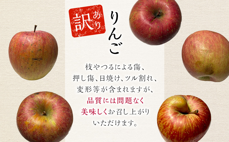 りんご 【12月発送】カワムラファーム 訳あり 葉とらず サンふじ & 名月 セット 約6kg 【弘前市産 青森りんご】 青森 弘前