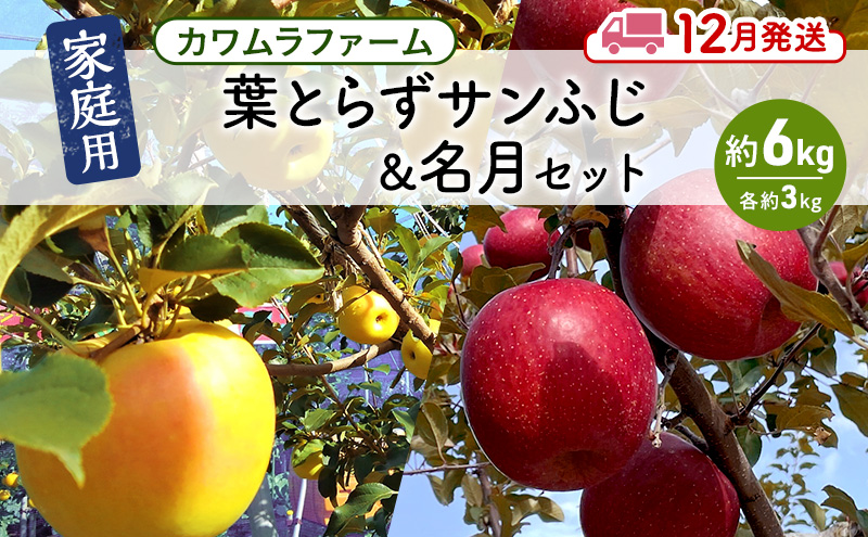 りんご 【12月発送】カワムラファーム 家庭用 葉とらず サンふじ & 名月 セット 約6kg 【弘前市産 青森りんご】 青森 弘前