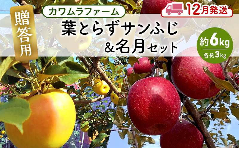 りんご 【12月発送】カワムラファーム 贈答用 葉とらず サンふじ & 名月 セット 約6kg 【弘前市産 青森りんご】 青森 弘前