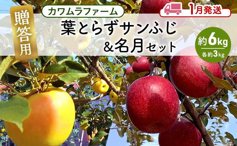 りんご 【1月発送】カワムラファーム 贈答用 葉とらず サンふじ & 名月 セット 約6kg 【弘前市産 青森りんご】 青森 弘前