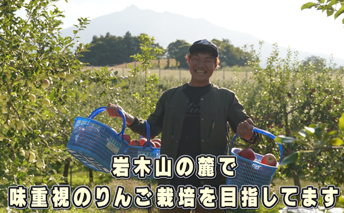 10～11月発送 訳ありひろさきふじ約10kg（葉とらず）【弘前市産・青森りんご 果物類 林檎 リンゴ  】