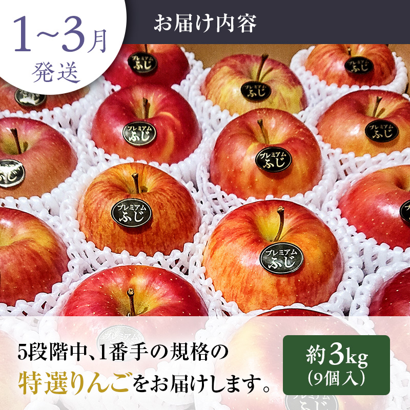 りんご 【 数量限定 】1～3月発送 糖度13度以上  「特選」プレミアム 葉とらずサンふじ 約 3kg 9個入り【 弘前市産 青森りんご 】