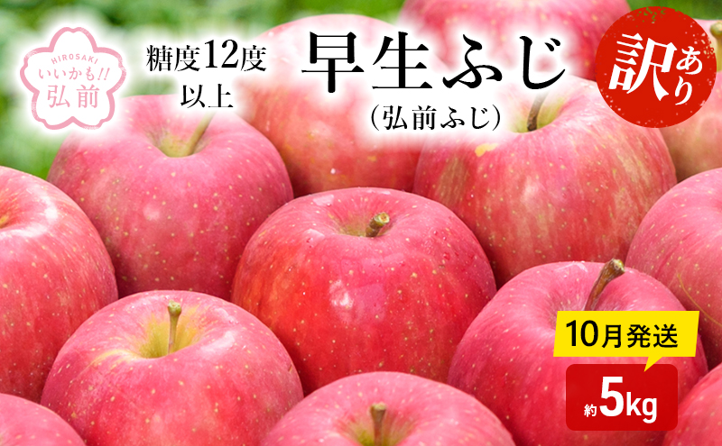 りんご 【 10月発送 】( 糖度12度以上 ) 訳あり 早生ふじ ( 弘前ふじ ) 約 5kg 【 弘前市産 青森りんご 】