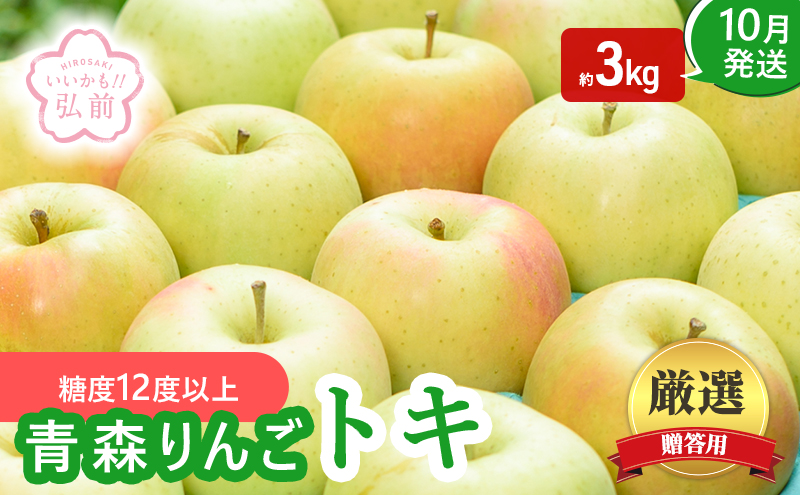 りんご 【 10月発送 】 ( 糖度12度以上 ) 贈答用 トキ 約 3kg 【 弘前市産 青森りんご 】