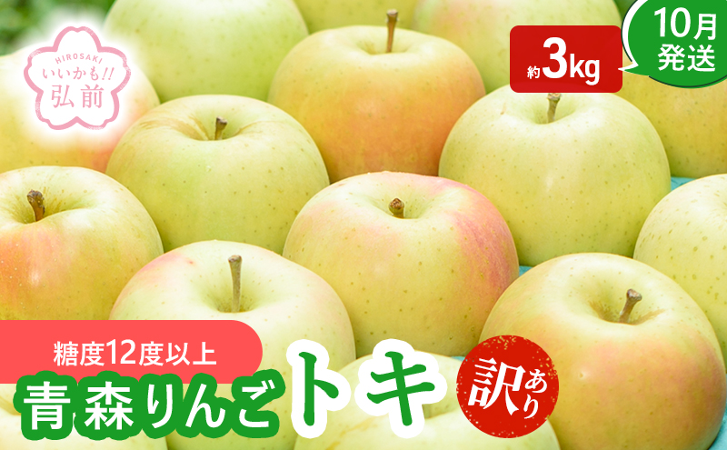 りんご 【 10月発送 】( 糖度12度以上 ) 訳あり トキ 約 3kg 【 弘前市産 青森りんご 】