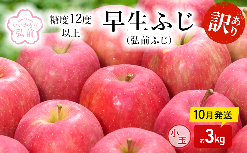 りんご 【 10月発送 】( 糖度12度以上 ) 訳あり 早生ふじ ( 弘前ふじ ) 小玉りんご 約 3kg 【 弘前市産 青森りんご 】