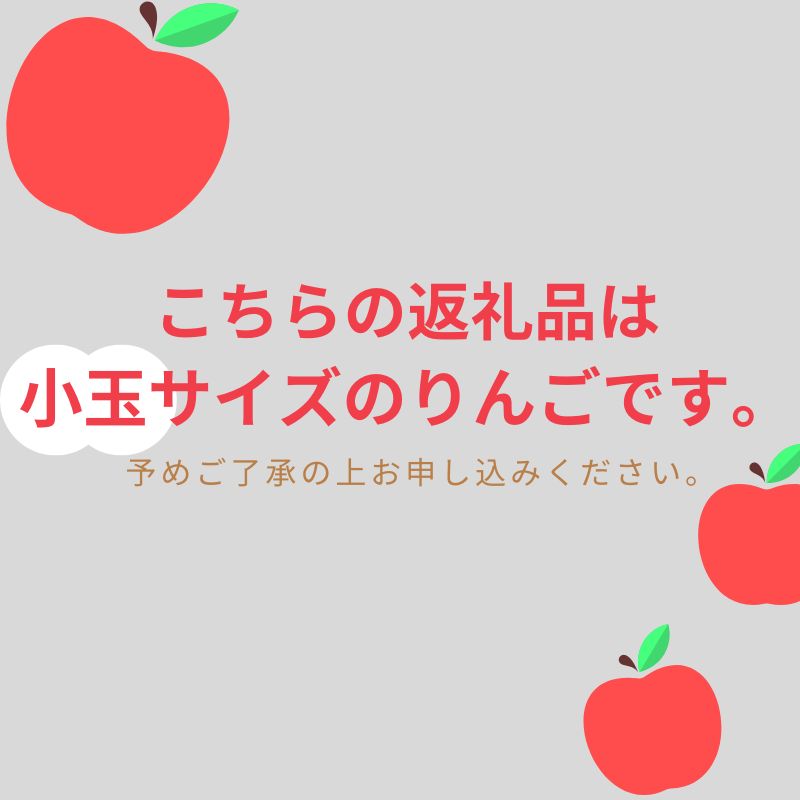 りんご 【 10月発送 】( 糖度12度以上 ) 訳あり 早生ふじ ( 弘前ふじ ) 小玉りんご 約 3kg 【 弘前市産 青森りんご 】