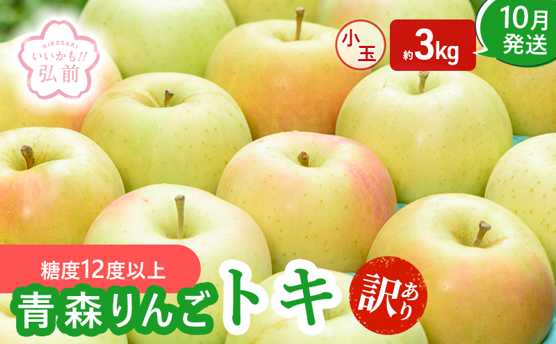 りんご 【 10月発送 】( 糖度12度以上 ) 訳あり トキ 小玉りんご 約 3kg 【 弘前市産 青森りんご 】