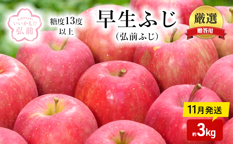 りんご 【 11月発送 】( 糖度13度以上 ) 贈答用 早生ふじ ( 弘前ふじ ) 約 3kg 【 弘前市産 青森りんご 】