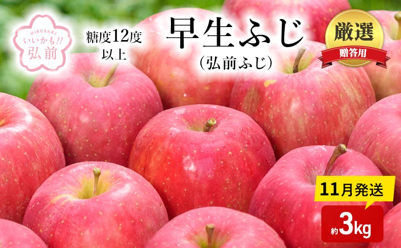 りんご 【 11月発送 】( 糖度12度以上 ) 贈答用 早生ふじ ( 弘前ふじ ) 約 3kg 【 弘前市産 青森りんご 】