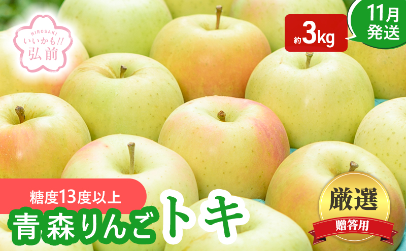 りんご 【 11月発送 】( 糖度13度以上 ) 贈答用 トキ 約 3kg 【 弘前市産 青森りんご 】