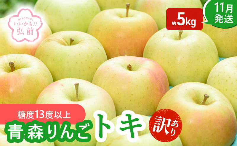 りんご 【 11月発送 】( 糖度13度以上 ) 訳あり トキ 約 5kg 【 弘前市産 青森りんご 】