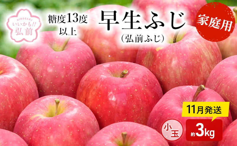 りんご 【 11月発送 】( 糖度13度以上 ) 家庭用 早生ふじ ( 弘前ふじ ) 小玉りんご 約 3kg 【 弘前市産 青森りんご 】