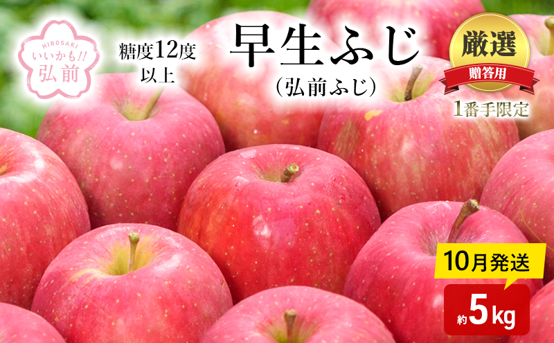 りんご 【 10月発送 】( 糖度12度以上 ) 1番手限定 贈答用 早生ふじ ( 弘前ふじ ) 約 5kg 【 弘前市産 青森りんご 】