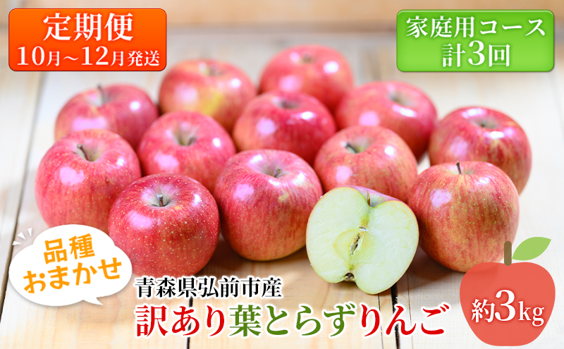 りんご 【10月～12月発送 りんご定期便 】糖度13度以上 訳あり 葉とらずりんご 約 3kg × 3回 家庭用コース【 弘前市産 青森りんご 】