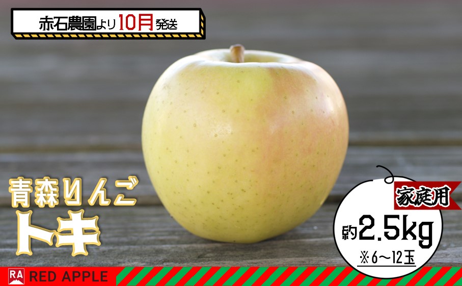 りんご 【 10月発送 】 家庭用 トキ 約 2.5kg 【 弘前市産 青森りんご 】