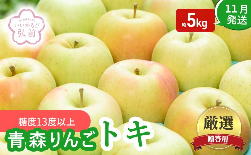 りんご 【 11月発送 】（ 糖度13度以上 ） 贈答用 トキ 約 5kg 【 弘前市産 青森りんご 】