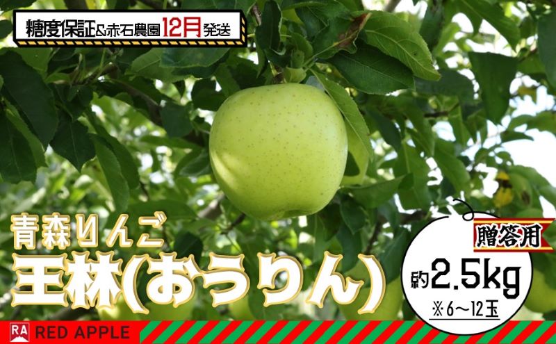 りんご 【 12月発送 】 13度糖度保証 贈答用 王林 約 2.5kg 【 弘前市産 青森りんご 】