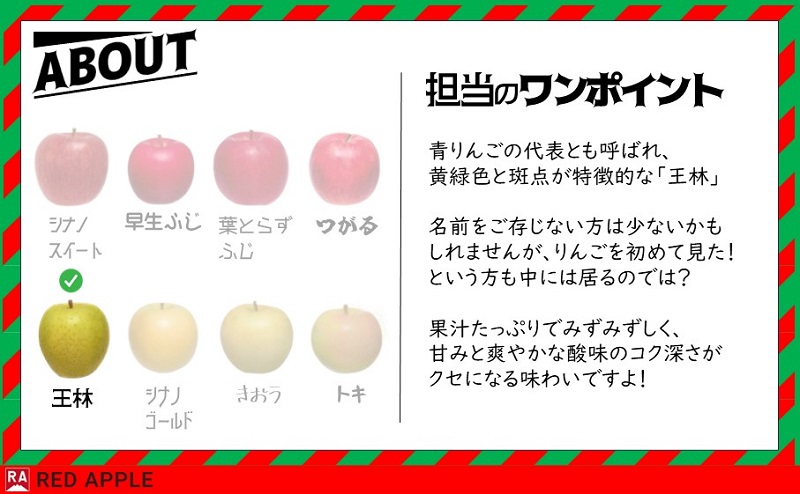 りんご 【 12月発送 】 13度糖度保証 贈答用 王林 約 2.5kg 【 弘前市産 青森りんご 】