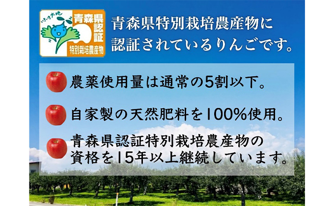 りんご 【 12月発送 】 家庭用 葉取らず サンふじ 約 3kg 青森県特別栽培農産物認証農園 【 弘前市産 青森りんご  果物 フルーツ デザート おやつ 旬の果物 旬のフルーツ  】