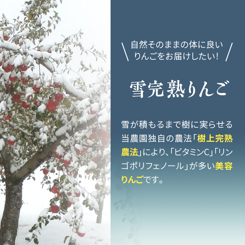 りんご 【 数量限定 】1～2月配送 雪完熟りんご 糖度13度以上 家庭用 葉とらずサンふじ ・ 完熟 王林 12個入り【 弘前市産 青森りんご 】