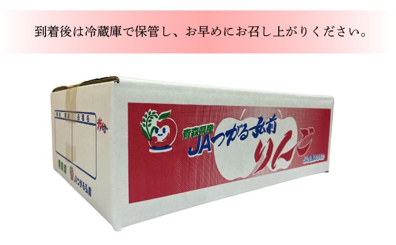 りんご 【 1月発送 】 贈答規格 サンふじ 約 3kg 【 弘前市産 青森りんご 】