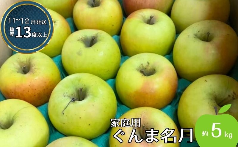 りんご 【11～12月発送】【訳あり】家庭用 ぐんま名月 約5kg 糖度13度以上（糖度証明書付き）【 弘前市産 青森りんご 】