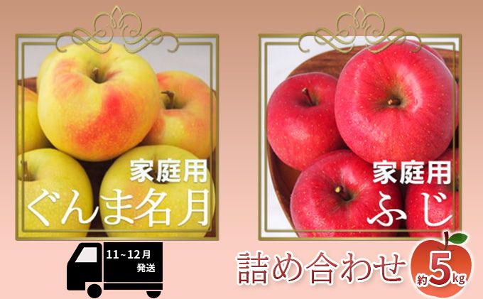 りんご 【11～12月発送】【訳あり】家庭用 ぐんま名月 ＆ サンふじ 詰め合わせ 約5kg 糖度13度以上（糖度証明書付）【 弘前市産 青森りんご 】