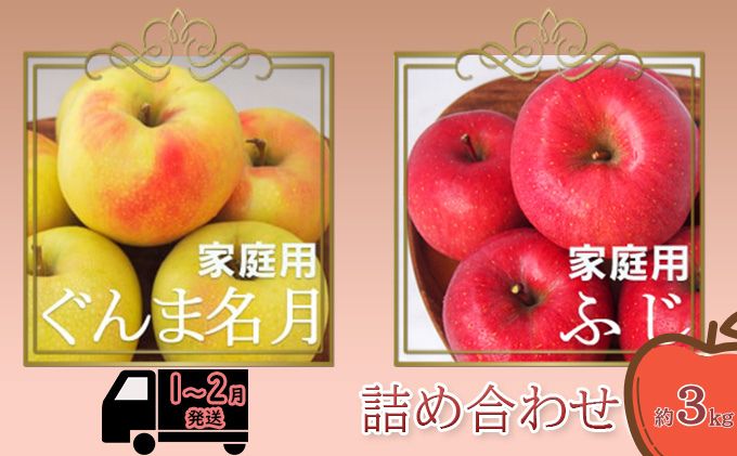 りんご 【1～2月発送】【訳あり】家庭用 ぐんま名月 ＆ サンふじ 詰め合わせ 約3kg 糖度13度以上（糖度証明書付）【 弘前市産 青森りんご 】