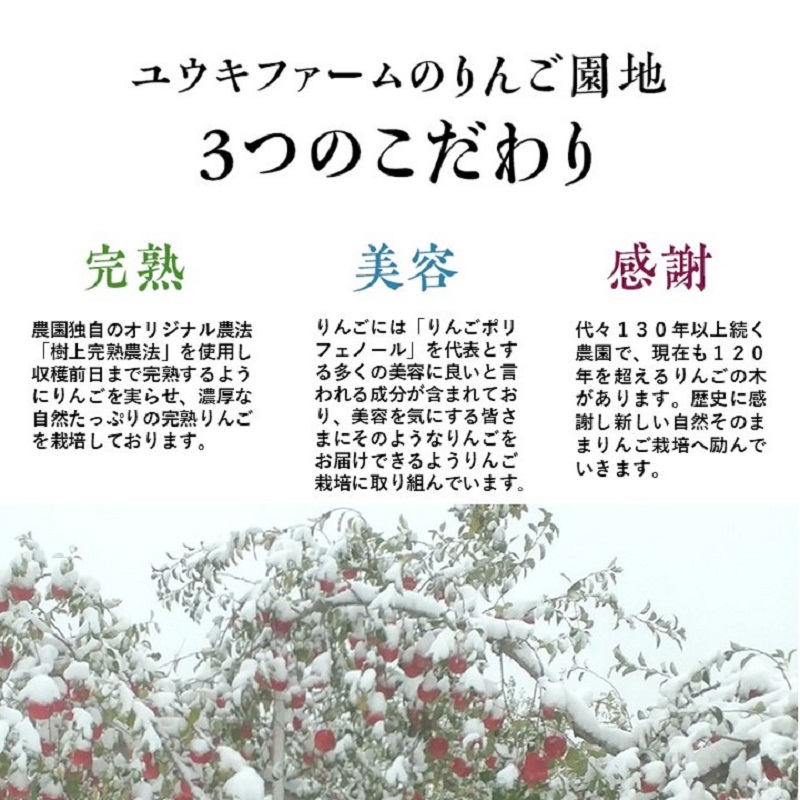 【12月発送】ユウキファーム×シェイクハンズ弘前 りんごギフト【蜜入り雪完熟特選りんご3個と濃厚葉とらず無添加りんごジュース 1L×2本】化粧箱入り