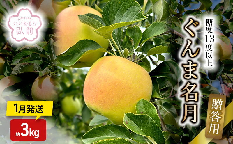 りんご 【 1月発送 】 糖度13度以上 ぐんま名月 贈答用 約 3kg 【 弘前市産 青森りんご 】