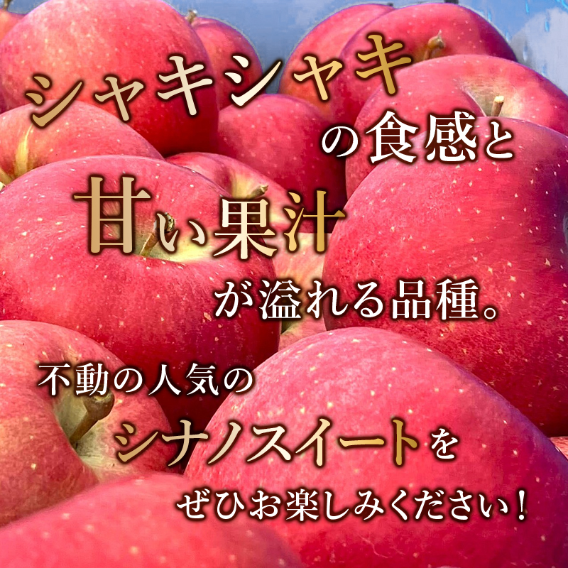 りんご 【 12月発送 】 糖度13度以上 訳あり シナノスイート 約 3kg 【 弘前市産 青森りんご 】