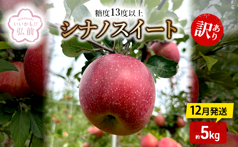 りんご 【 12月発送 】 糖度13度以上 訳あり シナノスイート 約 5kg 【 弘前市産 青森りんご 】