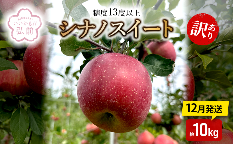 りんご 【 12月発送 】 糖度13度以上 訳あり シナノスイート 約 10kg 【 弘前市産 青森りんご 】