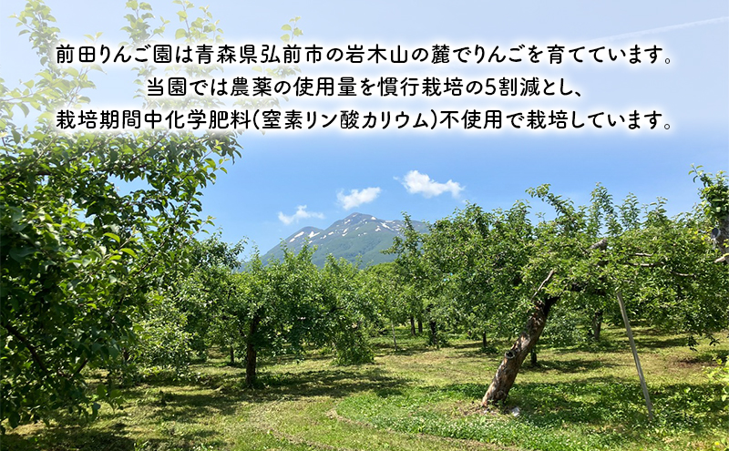 りんご 【 12月発送 】 前田りんご園 訳あり 葉とらず サンふじ 約 5kg 【 弘前市産 青森りんご 】