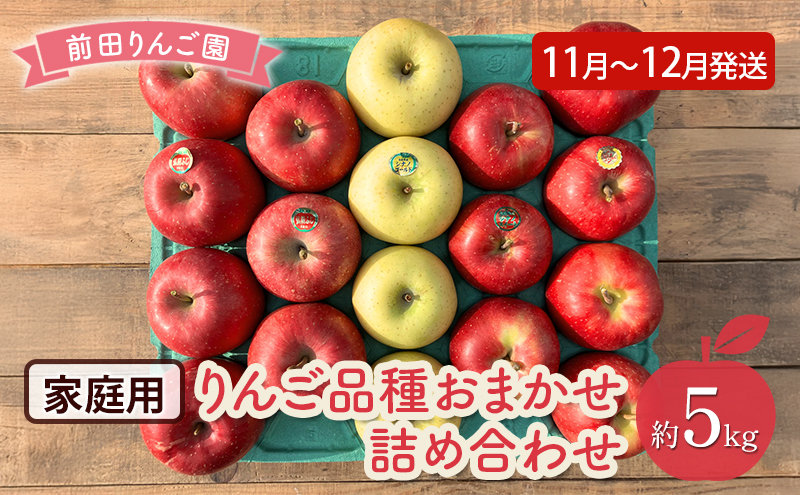 りんご 【 11月 ～ 12月発送 】 前田りんご園 家庭用 りんご 品種おまかせ詰め合わせ 約 5kg 【 弘前市産 青森りんご 】